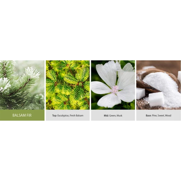 Balsam Fir 2-Docht-Kerze 623g