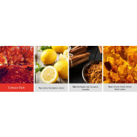 Crimson Park 2-Docht-Kerze 623g