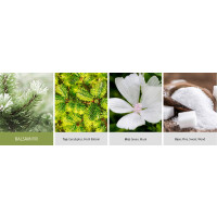Balsam Fir Daylight 35g