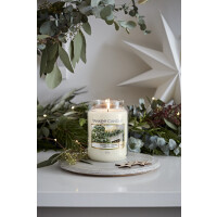 Twinkling Lights Großes Glas 623g
