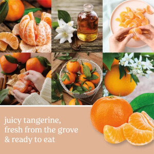 Tangerine & Vanilla Wachsmelt 22g