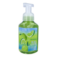 Sea Salt & Lime Schaumseife 259ml
