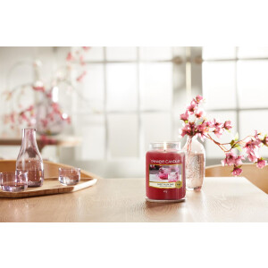 Sweet Plum Sake Gro&szlig;es Glas 623g