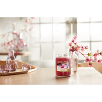 Sweet Plum Sake Großes Glas 623g
