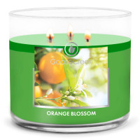 Goose Creek Candle® Orange Blossom 3-Docht-Kerze 411g