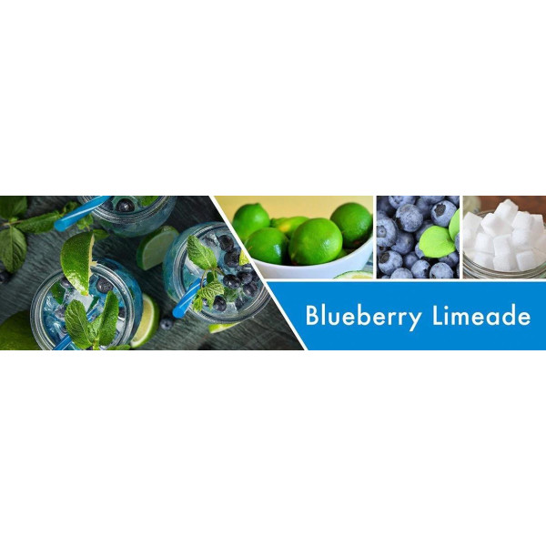 Goose Creek Candle® Blueberry Limeade 3-Docht-Kerze 411g