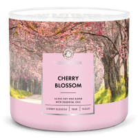 Goose Creek Candle® Cherry Blossom 3-Docht-Kerze 411g