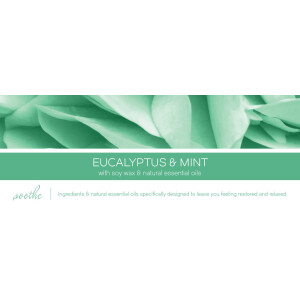 Eucalyptus & Mint 1-Docht-Kerze 198g