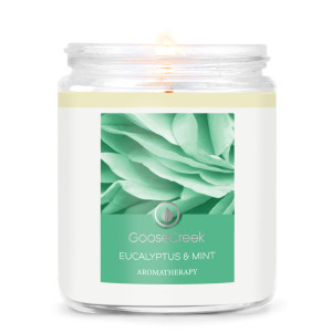 Goose Creek Candle® Eucalyptus & Mint...