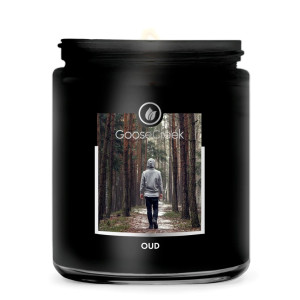 Goose Creek Candle® Oud 1-Docht-Kerze 198g