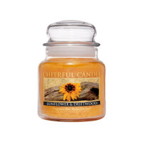 Sunflower & Driftwood 2-Docht-Kerze 453g