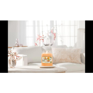 Mango Ice Cream Großes Glas 623g