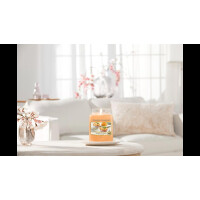 Mango Ice Cream Großes Glas 623g
