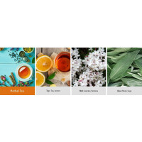 Herbal Tea 2-Docht-Kerze 623g
