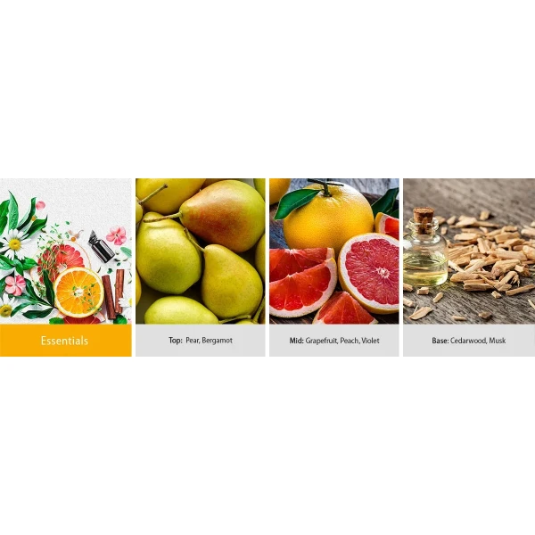Essentials 2-Docht-Kerze 623g