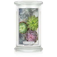 Succulents 2-Docht-Kerze 623g