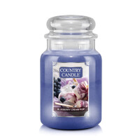 Blueberry Cream Pop 2-Docht-Kerze 652g