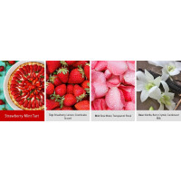 Strawberry Mint Tart 2-Docht-Kerze 652g