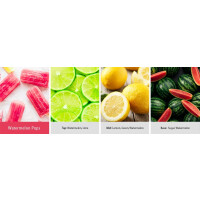 Watermelon Pops 2-Docht-Kerze 453g