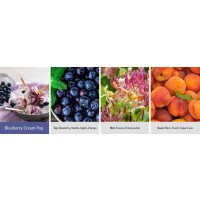 Blueberry Cream Pop Daylight 35g