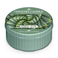 Country Candle™ Spiral Aloe Daylight 35g