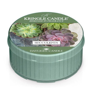 Kringle Candle® Succulents Daylight 35g