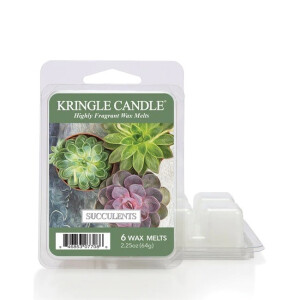 Succulents Wachsmelt 64g