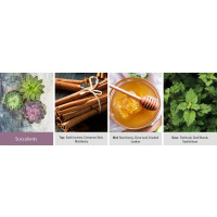 Succulents Wachsmelt 64g