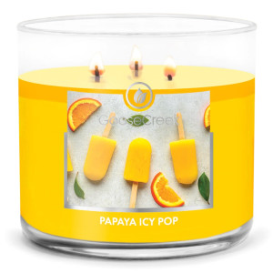 Goose Creek Candle® Papaya Icy Pop 3-Docht-Kerze 411g