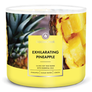 Goose Creek Candle® Exhilarating Pineapple...