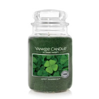 Lucky Shamrock™ Großes Glas 623g