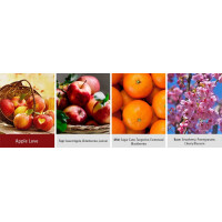 Kringle Candle® Apple Love 2-Docht-Kerze 623g