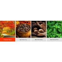 Autumn Road 2-Docht-Kerze 623g