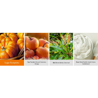 Sugar Pumpkins Daylight 35g
