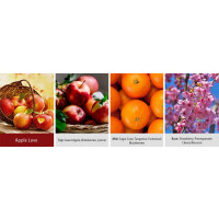 Apple Love Wachsmelt 64g