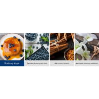 Blueberry Maple 2-Docht-Kerze 652g