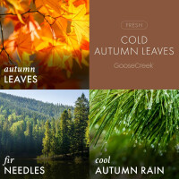Cold Autumn Leaves 3-Docht-Kerze 411g