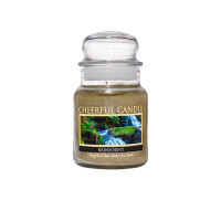 Rainforest 1-Docht-Kerze 170g