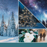 Winter Night Stars Großes Glas 623g
