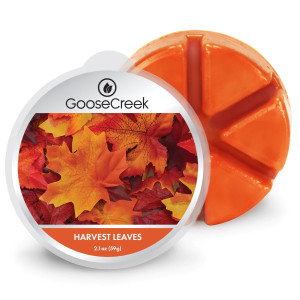 Goose Creek Candle® Harvest Leaves Wachsmelt 59g
