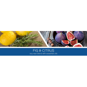 Fig &amp; Citrus - Heal 3-Docht-Kerze 411g