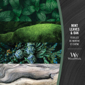 WoodWick® Mint Leaves & Oak Kerzenglas Klein 85g...