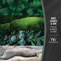 WoodWick® Mint Leaves & Oak Kerzenglas Klein 85g mit Knisterdocht