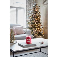 Letters to Santa Signature Glas 567g