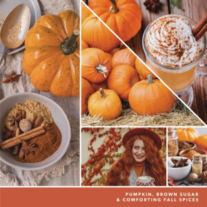 Spiced Pumpkin Car Jar® / Duftbaum 1er Pack