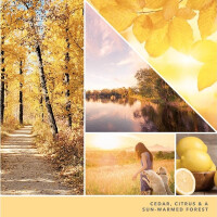 Sunlit Autumn Großes Glas 623g