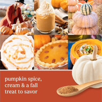 Whipped Pumpkin Spice Großes Glas 623g