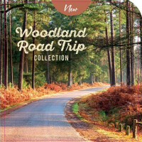 Woodland Road Trip Großes Glas 623g