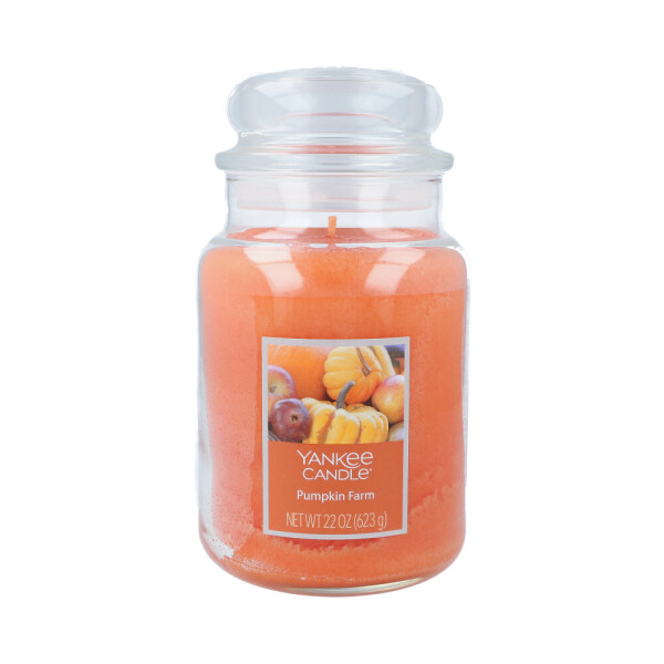 Pumpkin Farm Großes Glas 623g