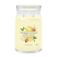 Iced Berry Lemonade Signature Glas 567g